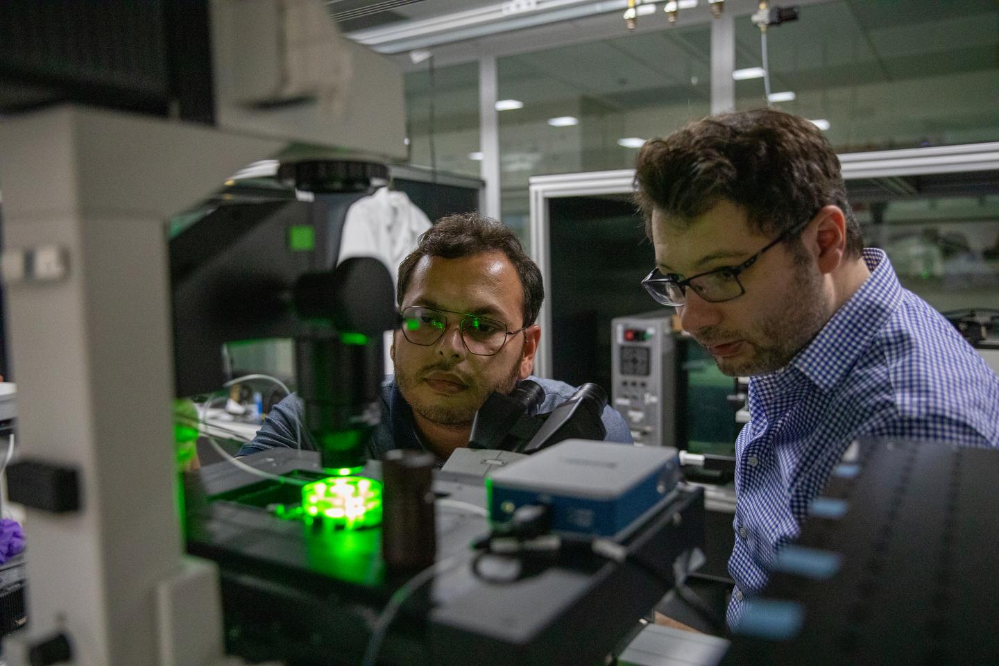 A nonfluorescent optical probe for ultrasensitive label-free detection of electrophysiological signals (4 of 5)