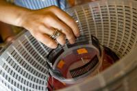 'Sally Centrifuge' (2 of 2)