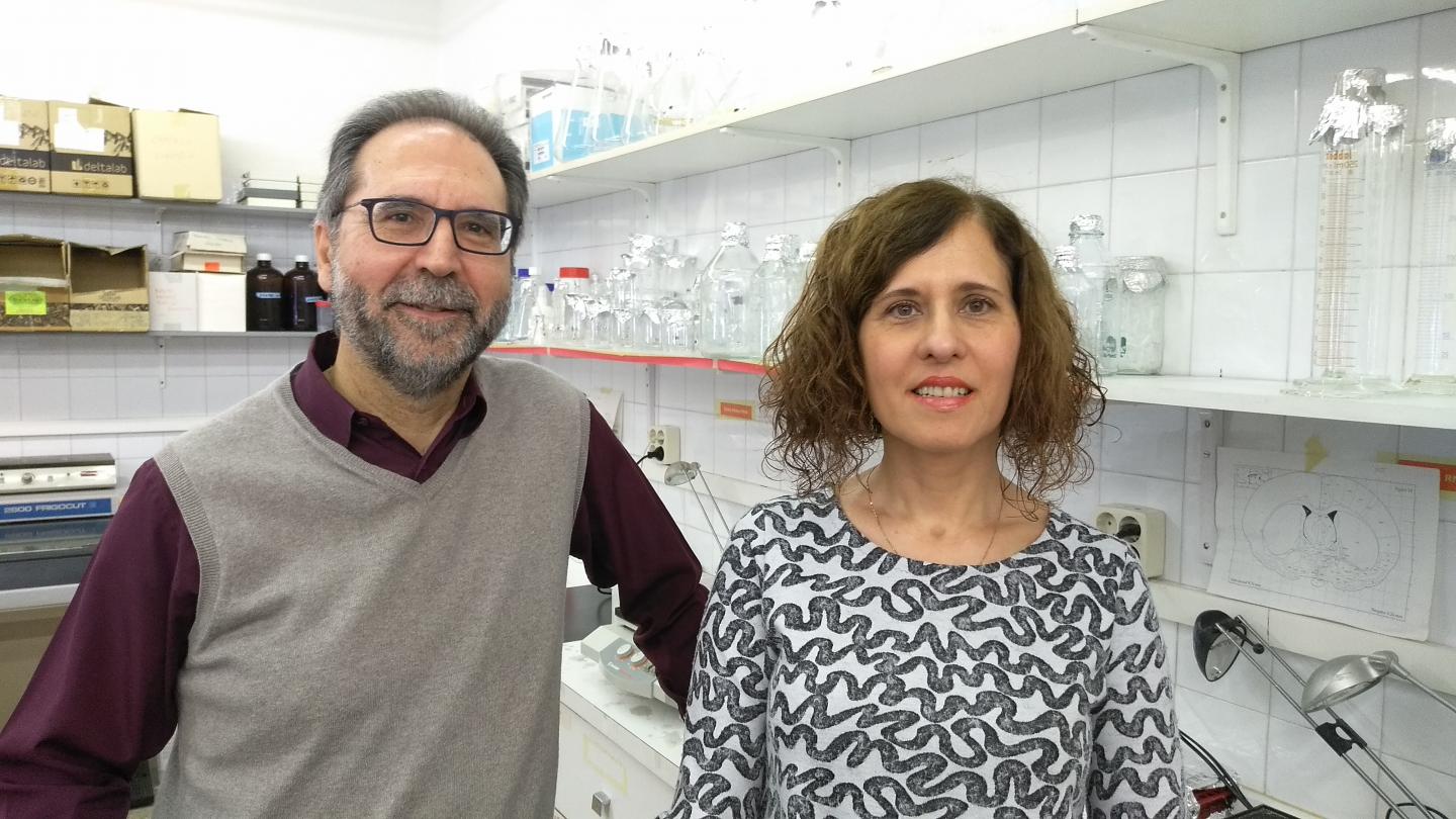 Antonio Armario and Roser Nadal, Universitat Autonoma de Barcelona