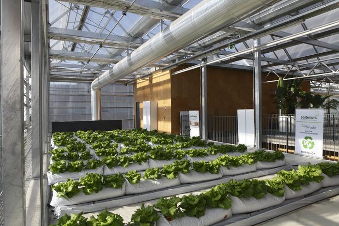 ICTA-UAB rooftop greenhouse
