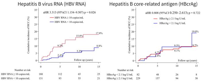 Hepatitis B virus RNA (HBV RNS) predicts hepatocellular carcinoma (HCC) despite viral suppression