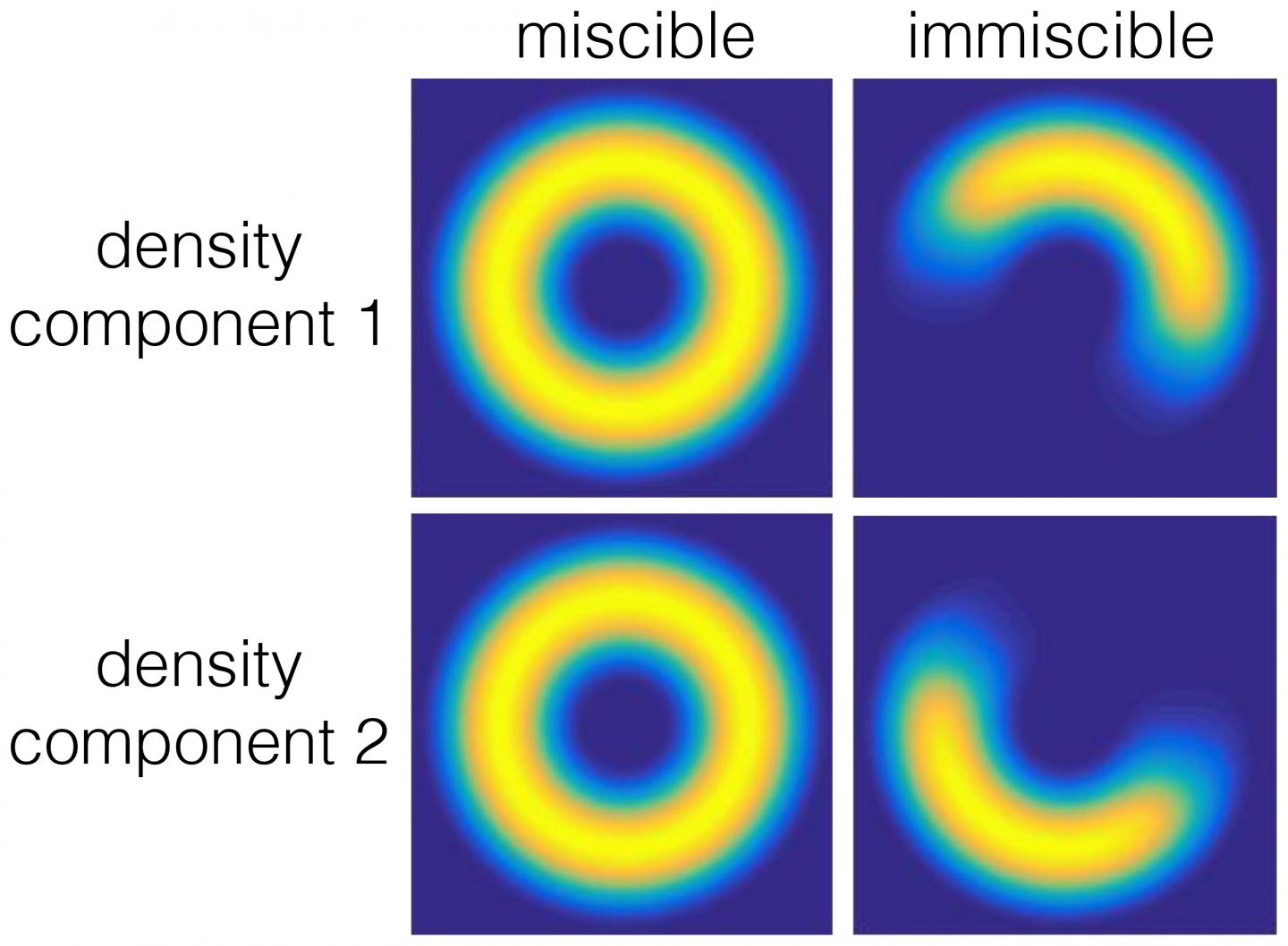 Figure 1: Density Profile of 2 Superfluid Components that either Mix (Left) or Do not Mix (Right)