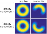 Figure 1: Density Profile of 2 Superfluid Components that either Mix (Left) or Do not Mix (Right)