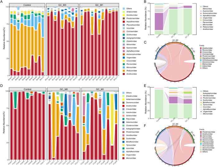 Fig. 1 from the article, which shows the relative abundance of viral families in blood samples from healthy controls, M0, and M1 groups. This figure visually captures the core finding of this study—the dramatic shift in the blood virome of gastric cance