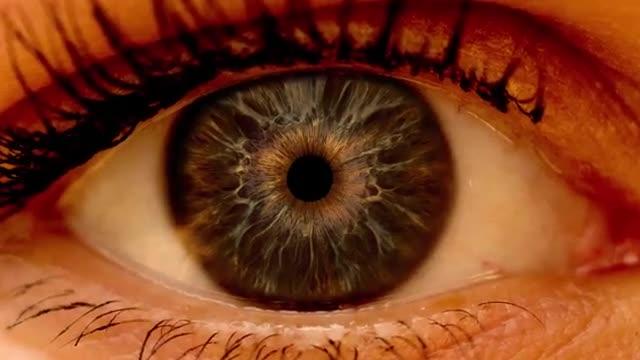 Animation: Detecting Diabetic Retinopathy Through a Dilated Eye Exam