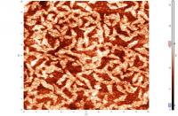 Image of the Surface, Taken By a Scanning Probe Microscopes