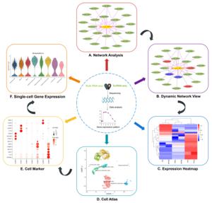 All data on the platform can be visualized interactively through a customized genome browser