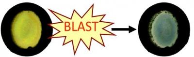 Blast Badge