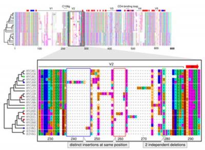 Sequence Alignment