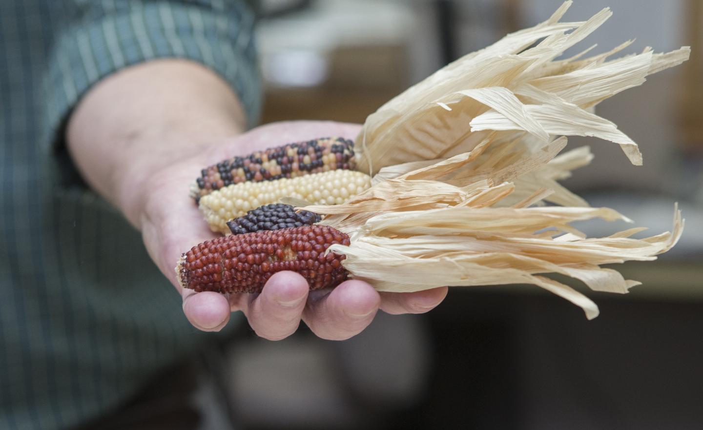 Corn Fire (1 of 3)