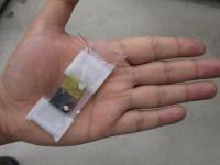 Microwaved CZTS Solar Cell
