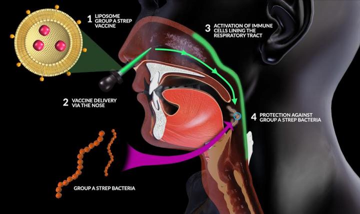 Liposome Vaccine Technology
