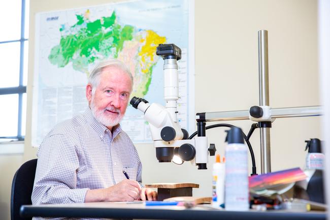 Photo of David Stahle