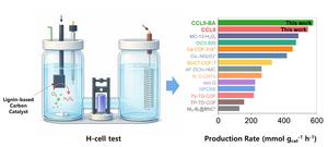 [Figure 3] Schematic diagram illustrating the electrochemical reaction system of H cells using lignin-based carbon catalysts and a comparison of their hydrogen peroxide production rate