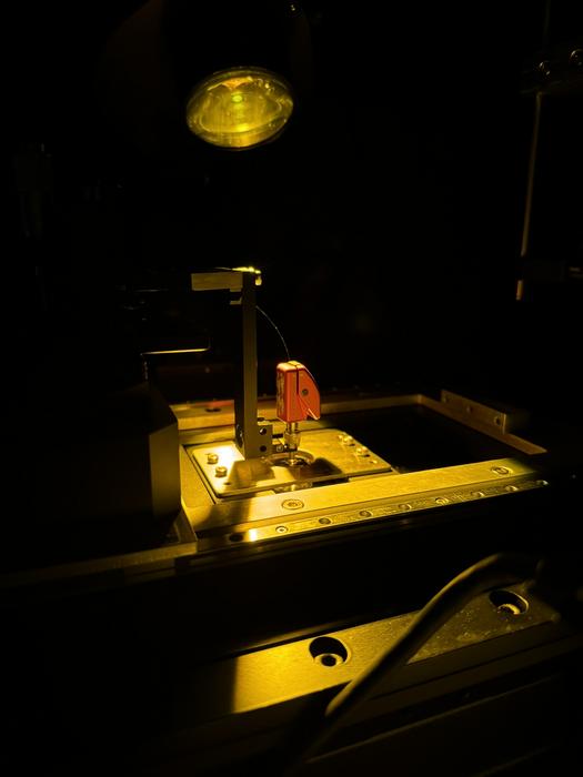 Optical fiber sensor encapsulated through laser 3D printing