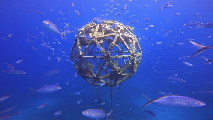 Sea Ark
