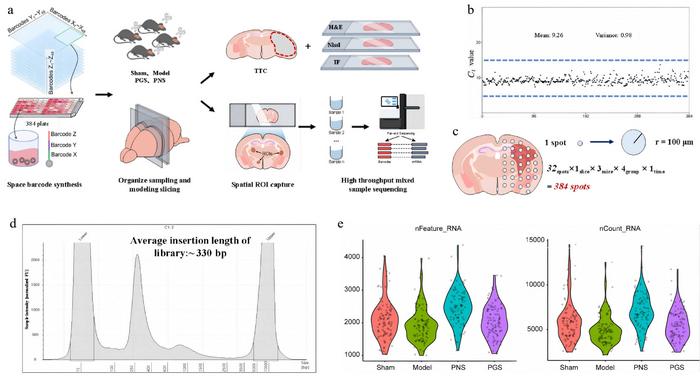 Overview of the Spatial-seq 2.0 workflow and quality control of spatial transcriptomic data.