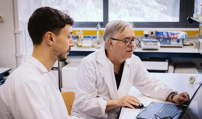 Researchers identify a protein that may help improve the treatment of obesity and cardiovascular disease