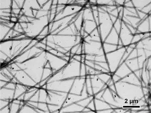 R-bodies in their extended form under the electron microscope