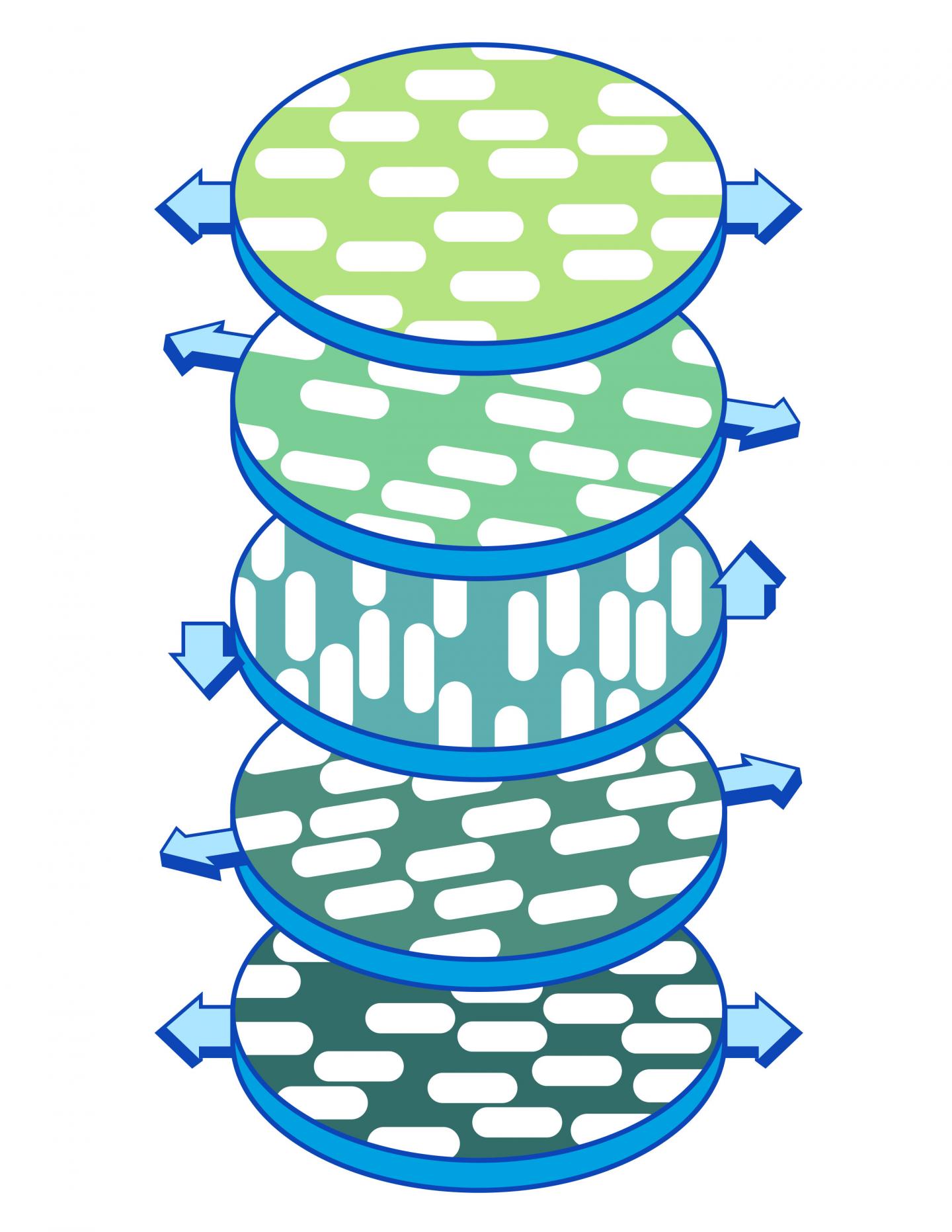 Cellulose Fibers