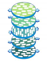 Cellulose Fibers