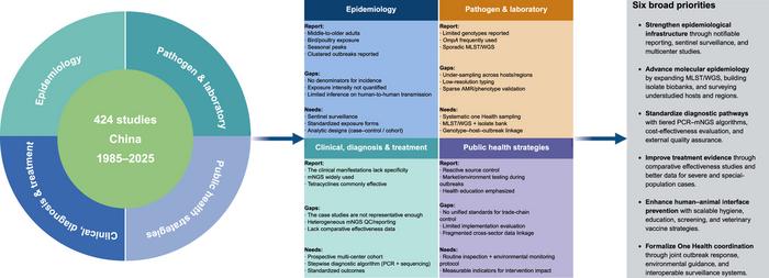 Mapping the gaps: a framework for advancing psittacosis research and surveillance in China