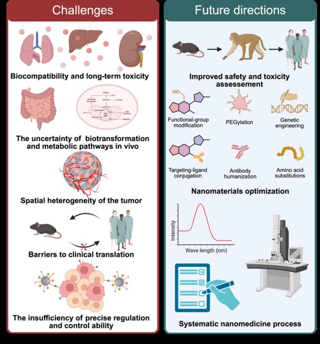 The Future of Cancer Therapy: Nanomaterials and Tumor Microenvironment