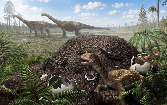 Reconstruction of titanosaur nesting at a relatively high latitude in Argentina.