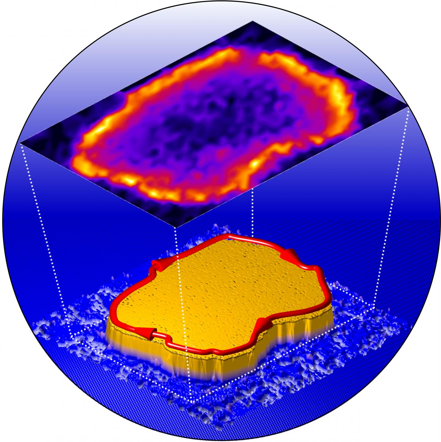Atomic-Scale Interface Engineering of Majorana Edge Modes in a 2D Magnet-Superconductor Hybrid Syste