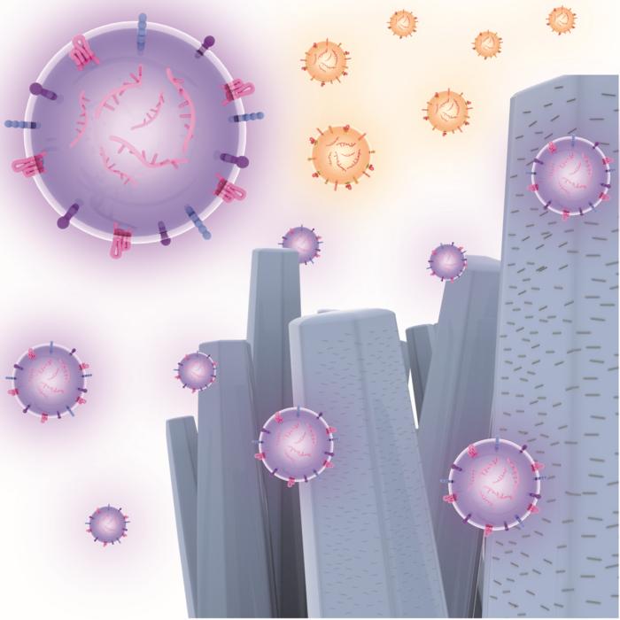 Zinc oxide nanowires