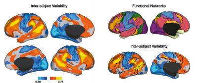 Intersubject Variability in Resting-State Functional Connectivity Is Heterogeneous across the Human Cortex