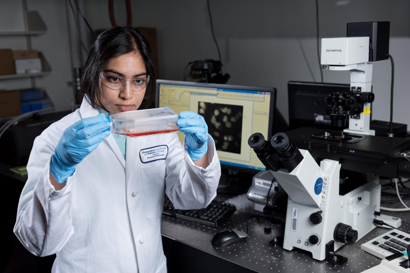 Examining HeLa Cells