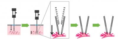 MIT-Georgia Tech Automated Robotic Whole-Cell Patch Clamping Process