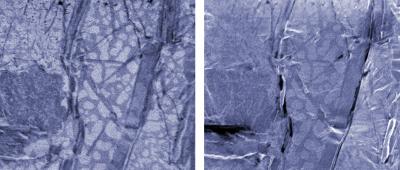Micrographs of a Spot of Electronics Solder