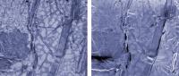 Micrographs of a Spot of Electronics Solder