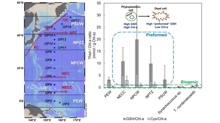 Figure.Distribution of water masses in the North Pacific and the concentration and origin of particulate thiols in each water mass
