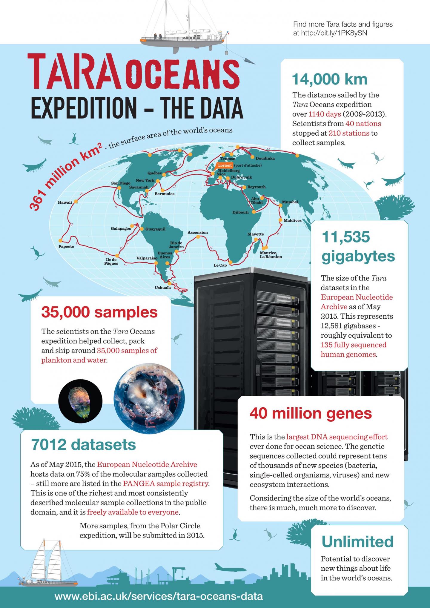 Tara Oceans Expedition Yields Treasure Trove of Plankton Data (19 of 19)