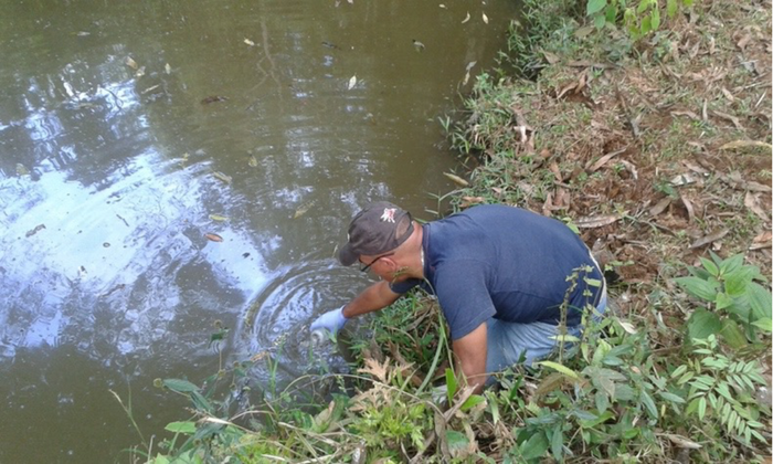 Water collection