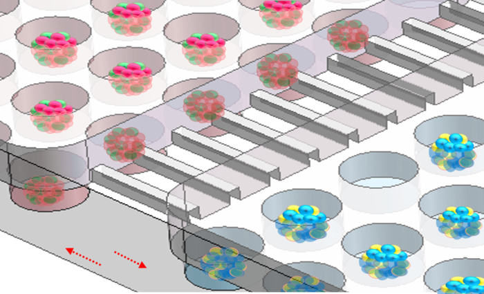 Multi-organoid System to Simulate Human Liver-islet Axis in Normal and Type 2 Diabetes