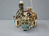 Whiskered Robot