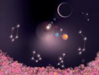 Proteins Organized as Constellations
