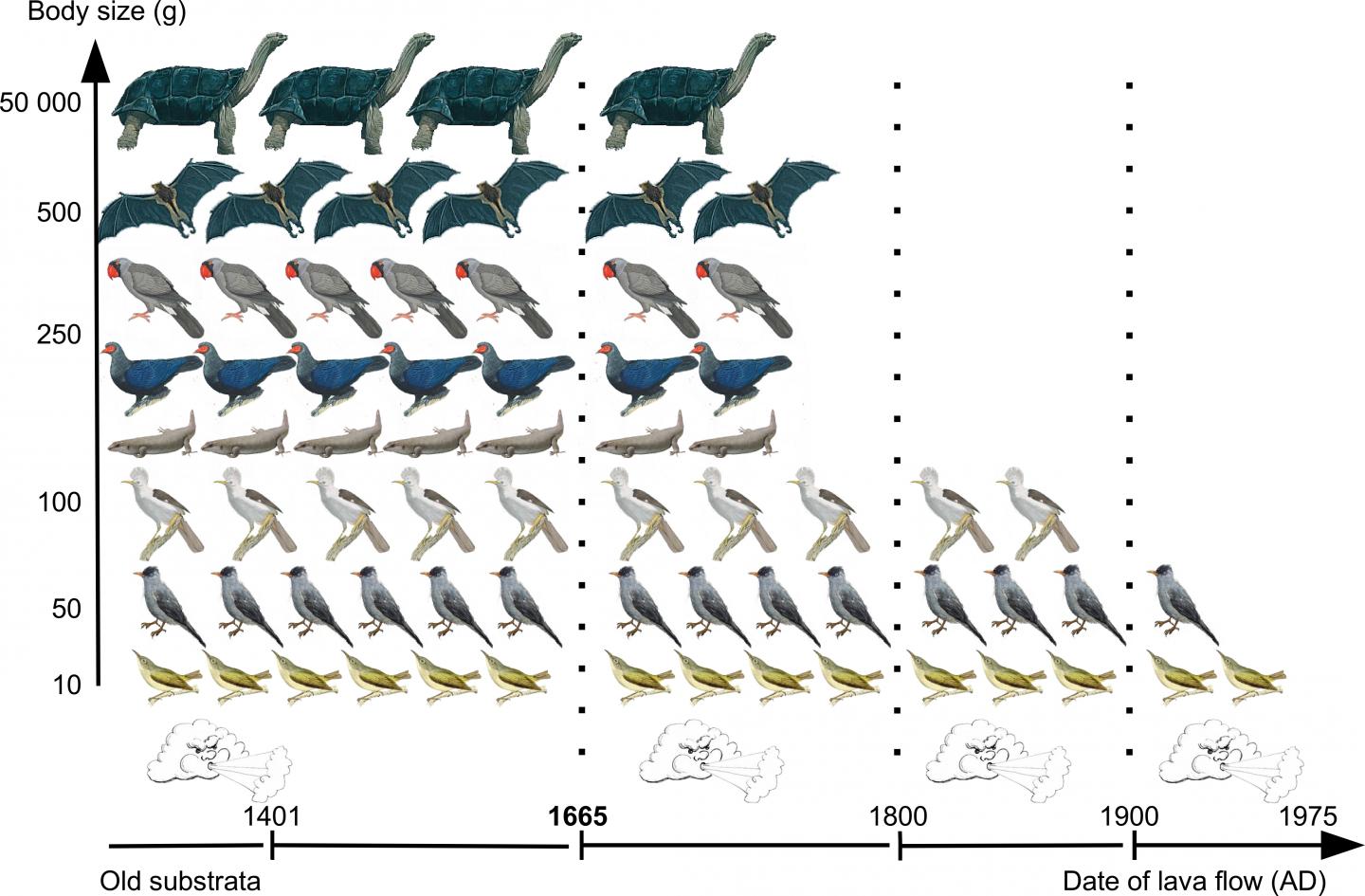 Historical Milestones in Relation to Availability of Dispersal Agents on Réunion across a Long-Term 
