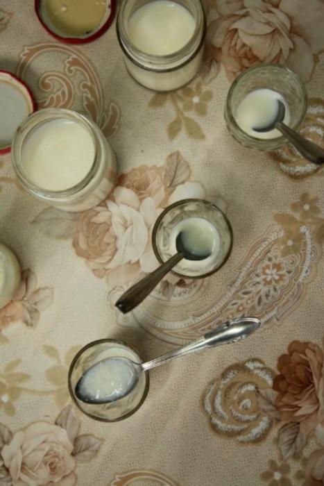 Researchers tasting ant yogurt