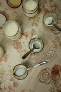 Researchers tasting ant yogurt