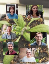 Paper authors