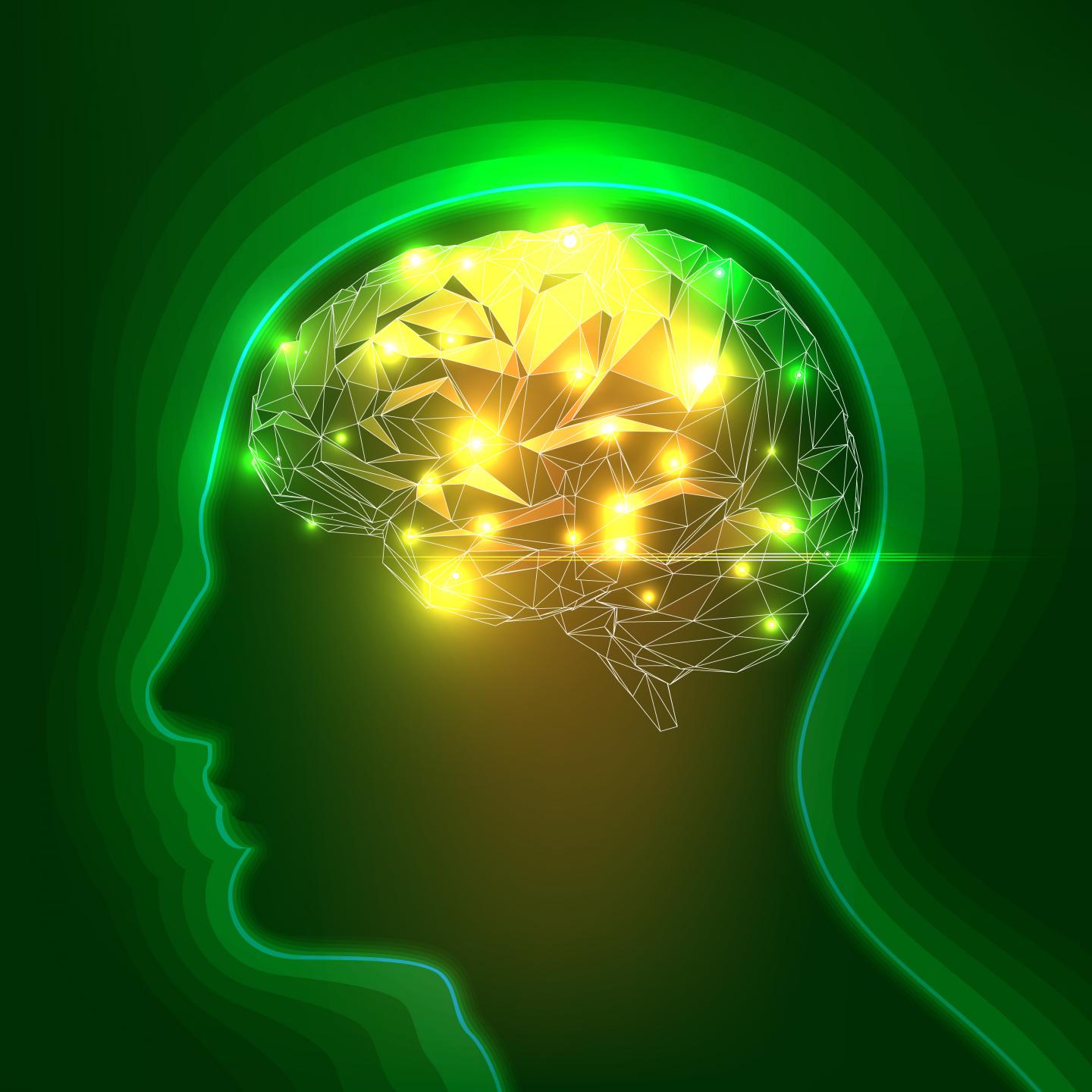 Image of Brain