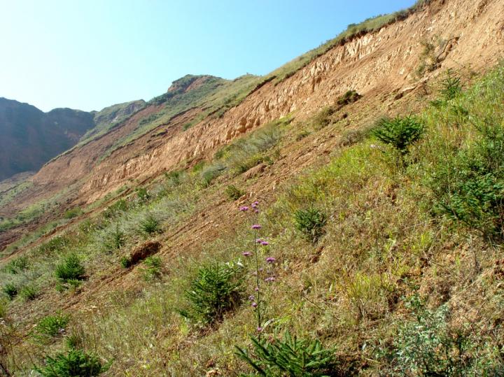 Neogene Strata in the Linxia Basin of Gansu Province