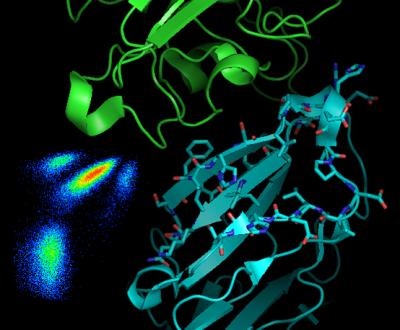 New Technique for Developing Drugs to Treat Serious Illnesses
