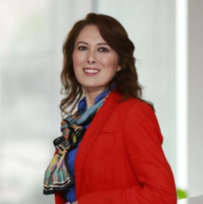 Associate professor Elham Fini