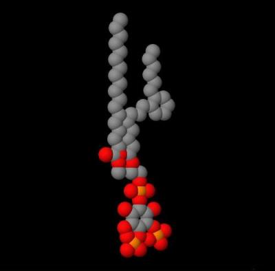 PIP<sub>2</sub>
